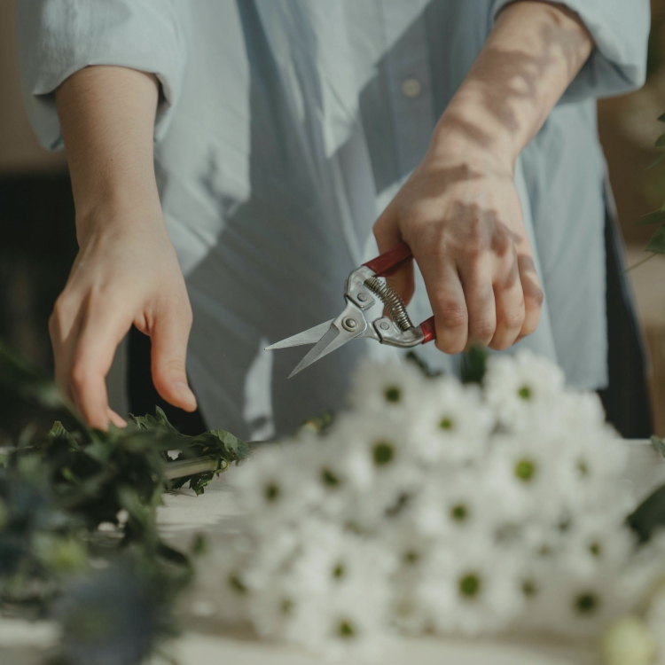 manos femeninas armando un ramo de flores de margaritas blancas