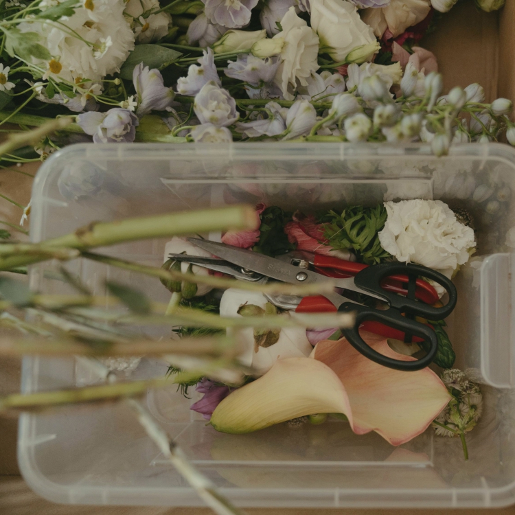 materiales para el armado de un ramo