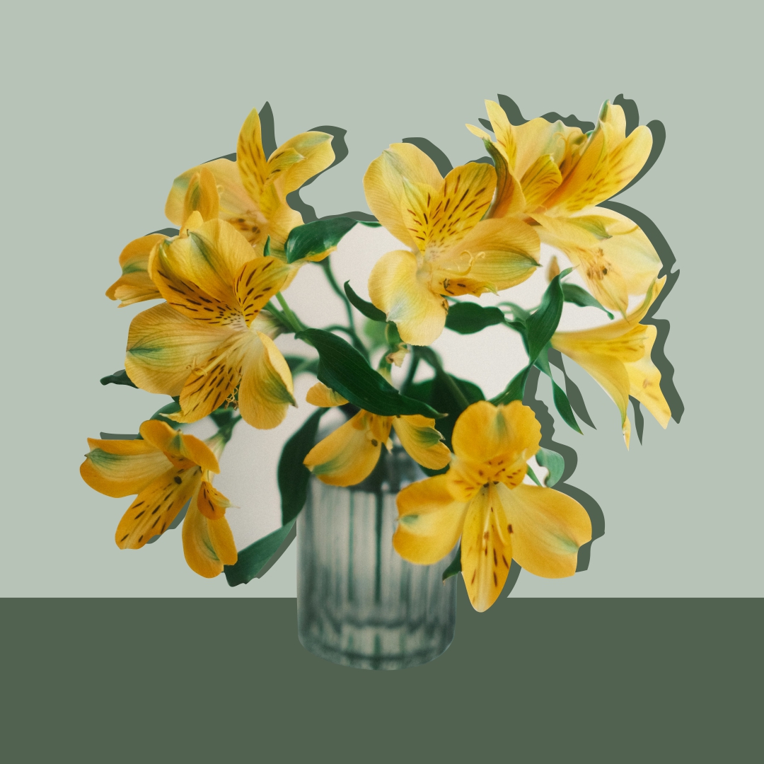 jarrón cilindro opaco con flores